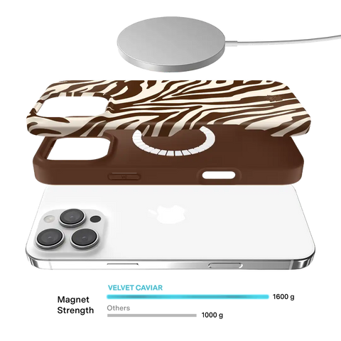 Coco Zebra iPhone Case
