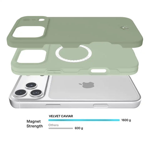Smoky Sage iPhone Case