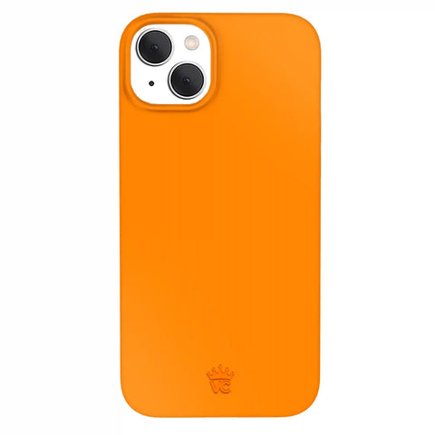 Pumpkin Spice Orange iPhone Case